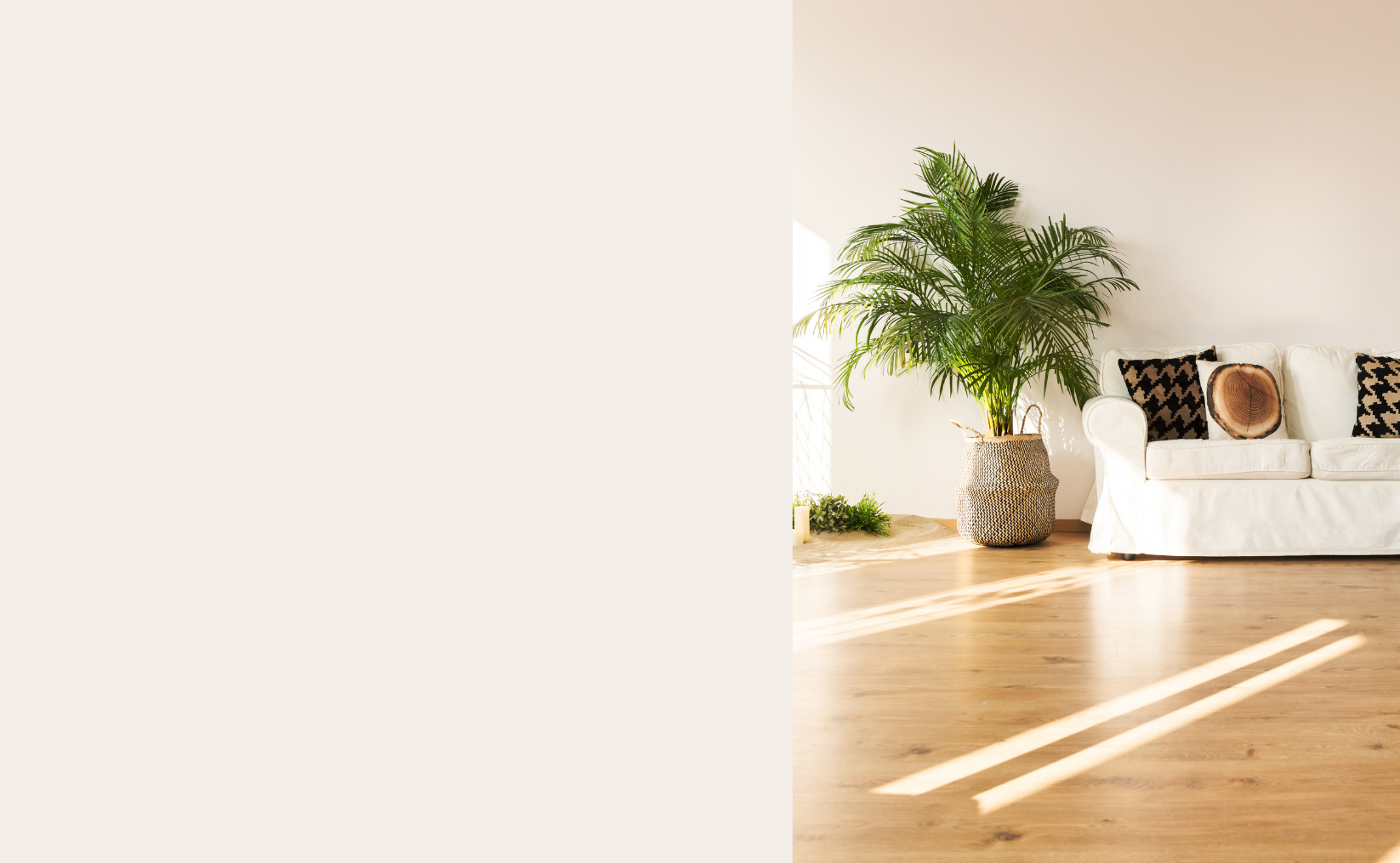 Sunlit living room with polished light-oak hardwood floors